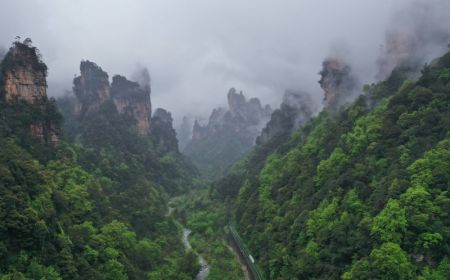 (miniature) Les montagnes entourées de nuages et de brouillard dans le parc forestier national de Zhangjiajie