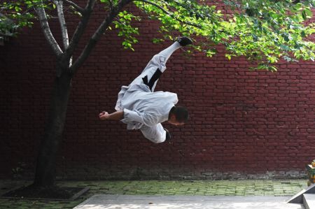 (miniature) Un moine Shaolin pratique les arts martiaux dans le temple Shaolin à Dengfeng