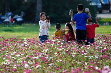 (miniature) Des gens prennent des photos au milieu des fleurs &agrave; Haikou
