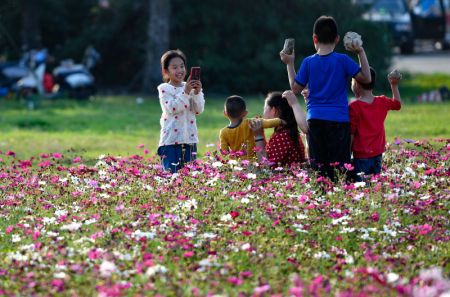 (miniature) Des gens prennent des photos au milieu des fleurs à Haikou