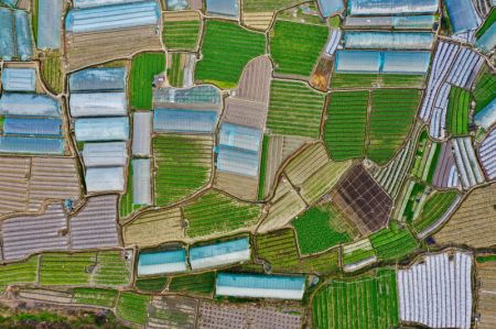(miniature) Vue a&eacute;rienne d'une base de plantation de l&eacute;gumes dans le bourg de Jingxi
