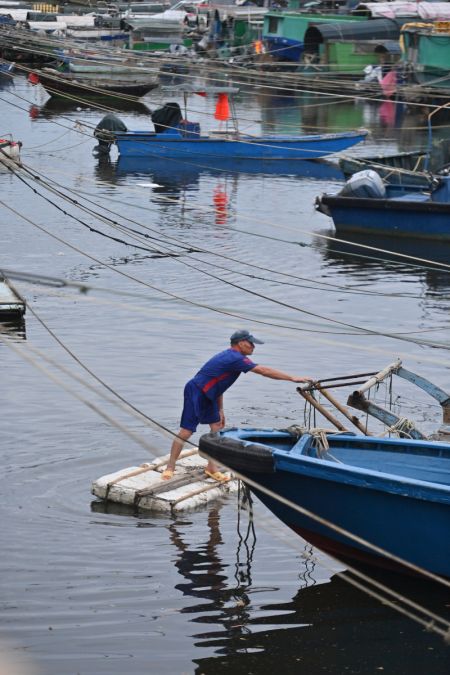 (miniature) Un pêcheur amarre son bateau au port de Dianjian