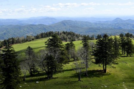 (miniature) Photo du paysage automnal du mont Laotudingzi