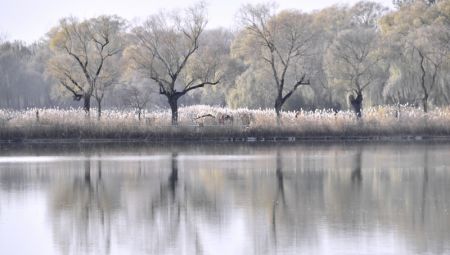 (miniature) Paysage hivernal du Palais d'été à Beijing