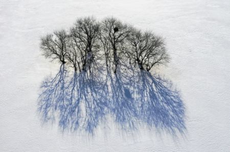 (miniature) Paysage hivernal de la prairie de Yudaokou