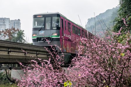 (miniature) Un train passe devant des fleurs épanouies à la station de Liziba sur la ligne 2 du métro de Chongqing