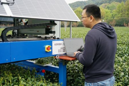 (miniature) Un membre du personnel débloque un robot pour cueillir le thé dans un jardin de thé à Hangzhou