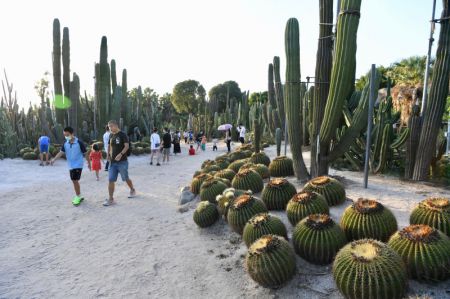 (miniature) Des gens visitent le Jardin botanique de Xiamen