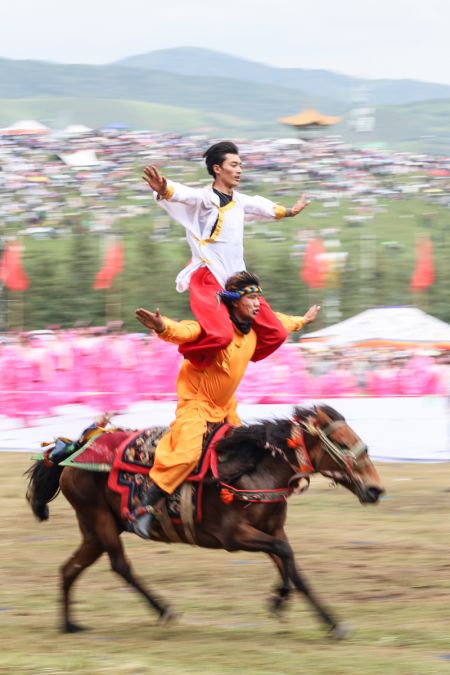(miniature) Un spectacle &eacute;questre pr&eacute;sent&eacute; lors d'une c&eacute;l&eacute;bration du 70e anniversaire de la cr&eacute;ation de la pr&eacute;fecture autonome tib&eacute;taine de Gannan