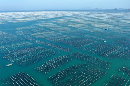 (miniature) Photo a&eacute;rienne d'une base d'&eacute;levage de moules dans le district de Shensi
