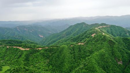 (miniature) Photo a&eacute;rienne d'une ferme foresti&egrave;re de la montagne Guanshan dans le district autonome Hui de Zhangjiachuan &agrave; Tianshui