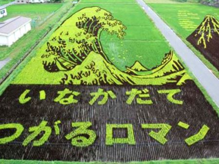 (miniature) Composition artistique sur champs de riz (Japon)