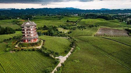 (miniature) Photo aérienne d'une route rurale dans le bourg de Yongxing du district de Meitan