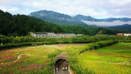 (miniature) Paysage d'un champ de fleurs &agrave; Liuba