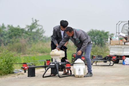 (miniature) Des agriculteurs utilisent un drone pour pulvériser des pesticides sur une rizière dans le district de Nanchang