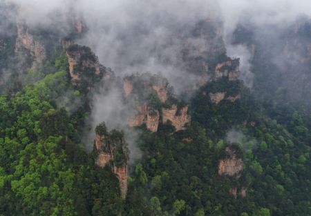 (miniature) Les montagnes entourées de nuages et de brouillard dans le parc forestier national de Zhangjiajie
