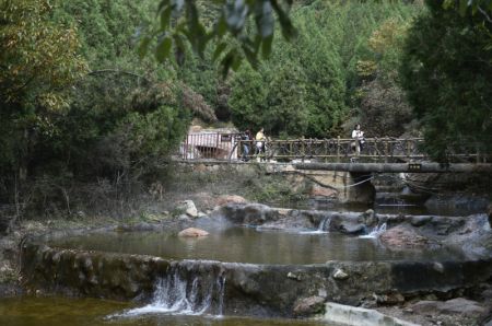 (miniature) Des visiteurs profitent d'une journée d'automne dans le parc forestier national de Dahongzhai