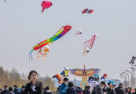 (miniature) Des touristes font voler des cerfs-volants à Harbin
