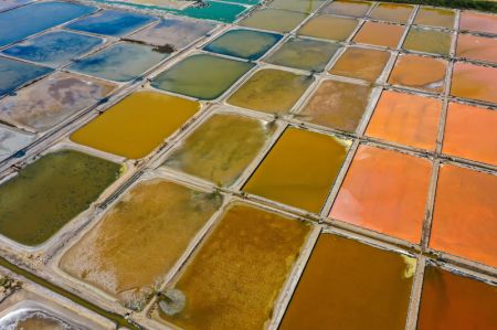 (miniature) Photo a&eacute;rienne prise le 9 mai 2021 montrant un patchwork de salines dans le bourg de Gangxi