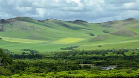 (miniature) Paysage de la prairie de Hulun Buir