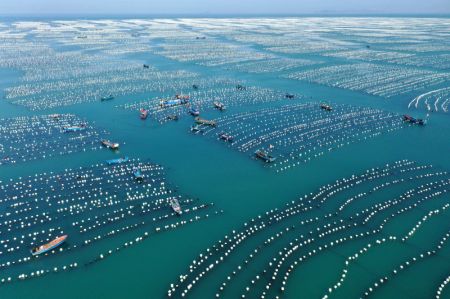 (miniature) Photo a&eacute;rienne d'une base d'&eacute;levage de moules dans le district de Shensi