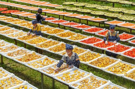 (miniature) Des villageois font sécher des produits agricoles dans le village de Lutian dans le district de Tonggu