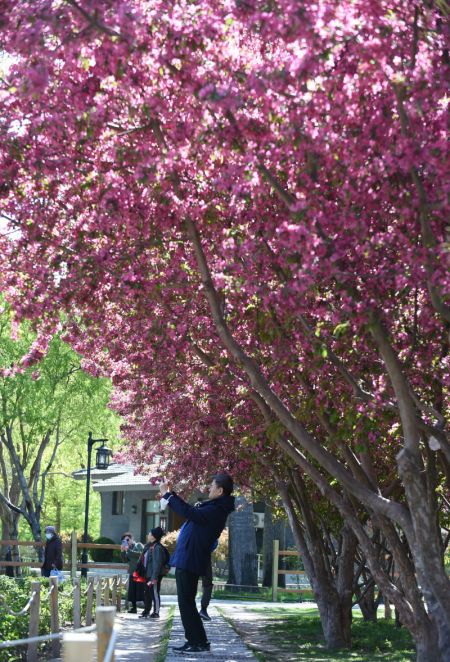 (miniature) Des touristes dans le parc Taoranting aux beaux jours à Beijing