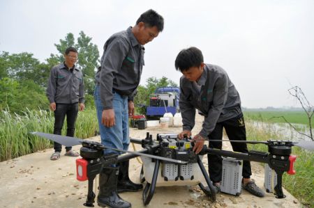 (miniature) Des agriculteurs utilisent des drones pour pulvériser des pesticides sur une rizière dans le district de Nanchang