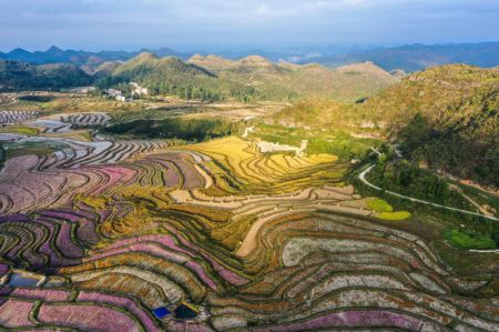 (miniature) Photo aérienne d'une base agricole globale du bourg de Qiantao de l'arrondissement de Huaxi