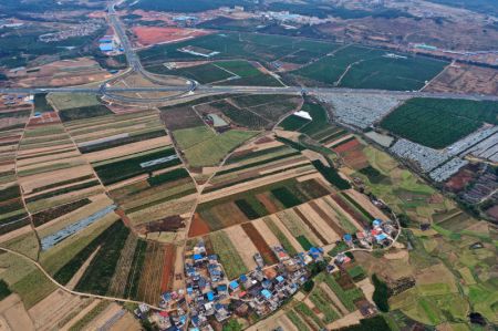 (miniature) Photo aérienne prise le 11 janvier 2020 montre une plantation d'orangers et de canne à sucre dans le district de Luzhai
