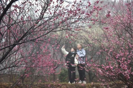 (miniature) Des touristes s'amusent dans la zone touristique du mont Hengshan