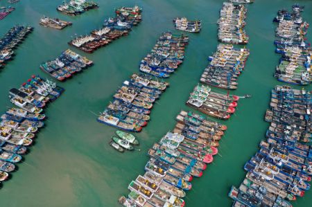 (miniature) Des bateaux de pêche s'abritent dans le port de Huangqi du district de Lianjiang