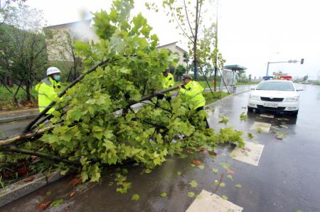 (miniature) Des policiers de la circulation déplacent un arbre tombé dans une rue de la ville de Taizhou