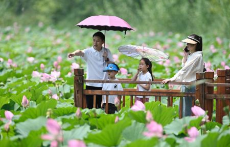 (miniature) Des touristes visitent un site pittoresque de zone humide du lac Weishan