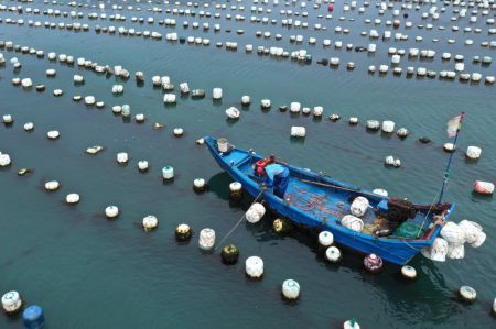 (miniature) Photo a&eacute;rienne d'une base d'&eacute;levage de moules dans le district de Shensi