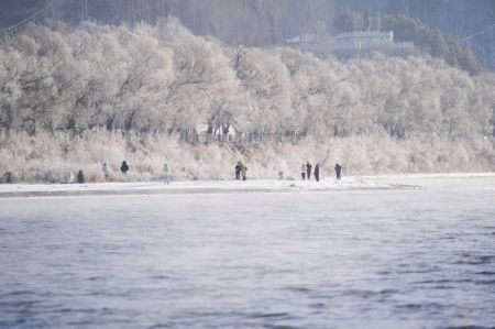 (miniature) Des personnes apprécient le paysage de givre le long de la rivière Songhua à Jilin
