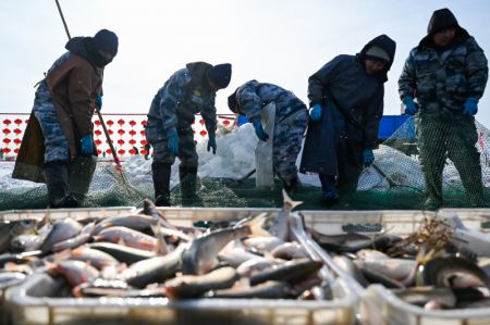 (miniature) Des employés attrapent des poissons dans une pêcherie du lac Dalinor