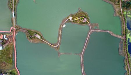 (miniature) La photo aérienne prise le 10 octobre 2021 montre le paysage du parc Dikunhu dans la ville de Huanghua