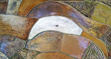 (miniature) Photo aérienne d'un agriculteur travaillant dans un champ de riz du village de Longkou