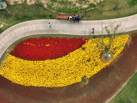 (miniature) Photo aérienne du parc de Yuerong