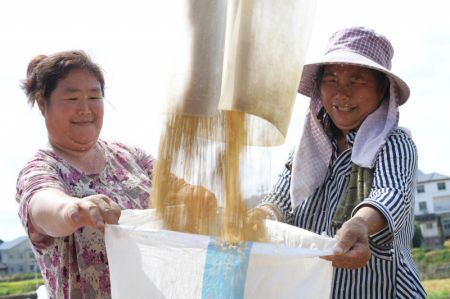 (miniature) Des agricultrices emballent du riz dans le bourg de Wangcao du district de Suiyang