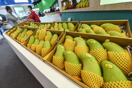 (miniature) Photo du Salon international d'hiver des produits agricoles tropicaux de Chine (Hainan) 2020