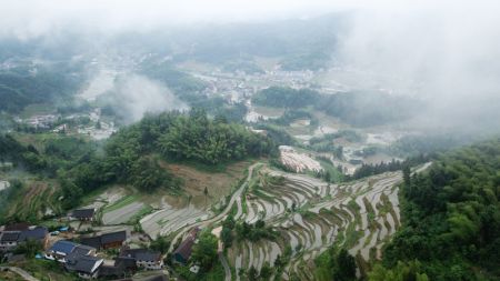 (miniature) Photo aérienne de champs en terrasses de Ziquejie
