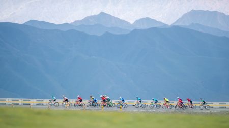 (miniature) Des cyclistes s'affrontent lors de la 4e étape du 23e Tour cycliste du lac Qinghai