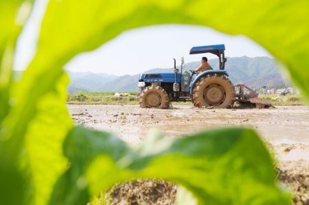 (miniature) Un agriculteur travaille dans un champ du village Lujia de la ville de Yongzhou