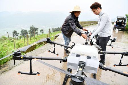 (miniature) Un technicien (à droite) présente le fonctionnement d'un drone de protection des plantes à un agriculteur à Luwo