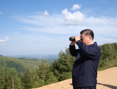 (miniature) Le président chinois Xi Jinping