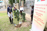 Photos : La Tanzanie et la Chine plantent des arbres pour cimenter leur amiti�