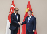 Photos : Entretien entre le PM chinois et le pr�sident singapourien � Davos