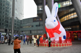 Photos : Clbrations de l'anne du lapin en Chine